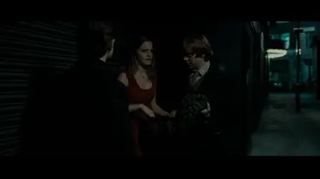 Harry Potter and the Deathly Hallows: Part 1 (2010)