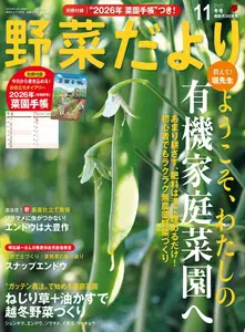 野菜だより - November 2025