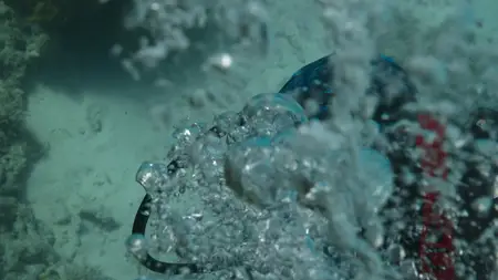 Octopus! S01E03