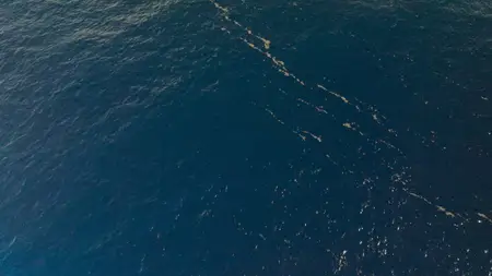 Octopus! S01E03