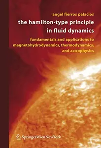 The Hamilton-Type Principle in Fluid Dynamics (Repost)