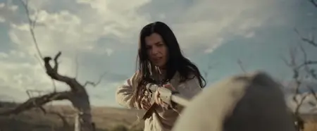 In Vitro (2024)