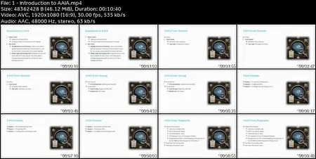 AAIA (Advanced in AI Audit) Certification Prep Course
