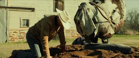 The Last Rodeo (2025)