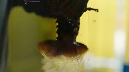 With Love, Meghan S02E06