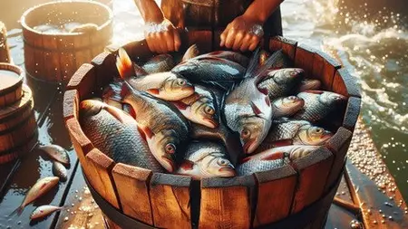 Certificate In Home-Based Fish Farming