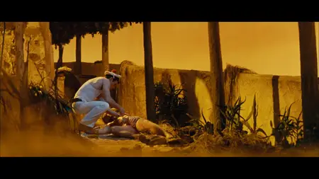 Querelle (1982) [The Criterion Collection]