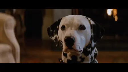 101 Dalmatians (1996)