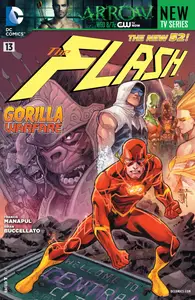 The Flash 013 (2012) (2 covers) (digital-TheGroup