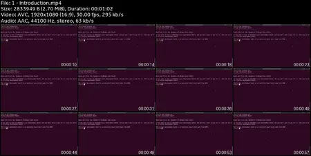 Virtual Embedded Linux Board