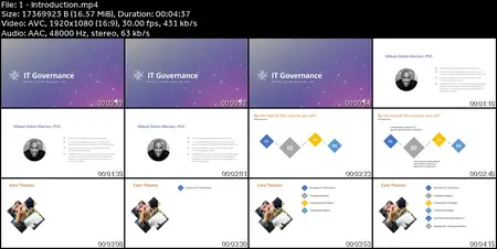 IT Governance: A Guide for IT Professionals