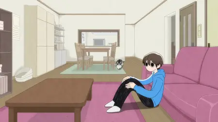 Nights With a Cat - S01E15 - Night 15 Red Light, Green Light with Cats