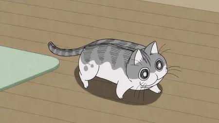 Nights With a Cat - S01E15 - Night 15 Red Light, Green Light with Cats
