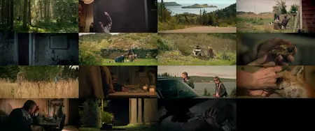 Cast No Shadow (2014)