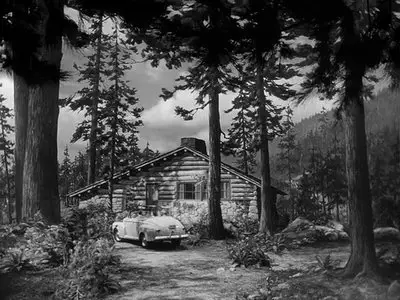 Woman in Hiding [Women in Danger Collection] (1950)