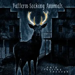 Pattern-Seeking Animals - Only Passing Through (2022)