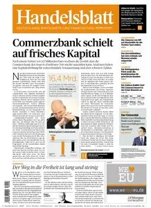 Handelsblatt vom 24.02.2010