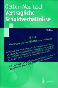 Vertragliche Schuldverhältnisse (Springer-Lehrbuch)