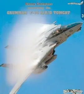 Grumman F-14 A/B/D Tomcat (Uncovering the №3) (repost)
