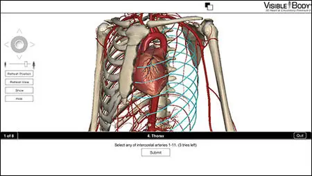 Visible Body Heart and Circulatory Premium v2.0.0 Mac OS X (Repack)