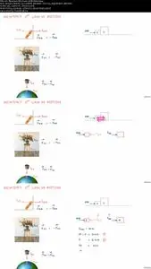 Physics of Newton's Laws of Motion, momentum & COM