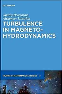 Turbulence in Magnetohydrodynamics