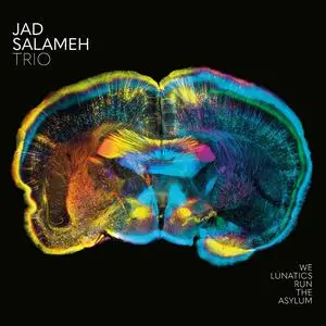 Jad Salameh Trio - We Lunatics Run the Asylum (2023) [Official Digital Download 24/88]