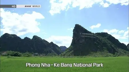 NHK - Great Nature: Vietnam's Hang Son Doong Cave (2012)