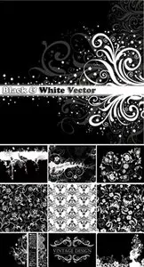 Black & White Vector