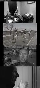 The Salt of the Earth (2014)