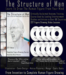 The Structure of Man HD - The Figure Drawing Course for Artists