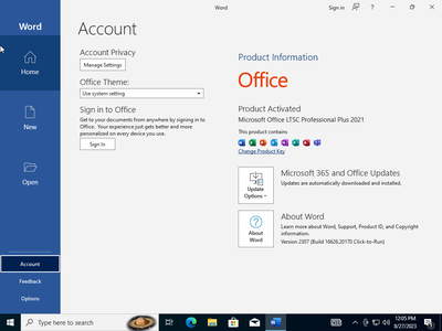 Windows 10 Pro 22H2 build 19045.3393 With Office 2021 Pro Plus (x64) Multilingual Preactivated