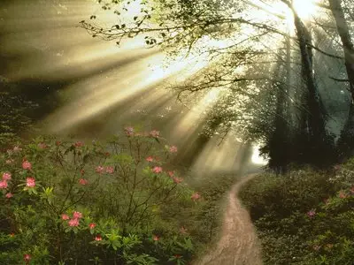 Top Great Wallpaper 162 (n. 28 jpg)