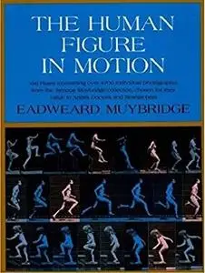 The Human Figure in Motion