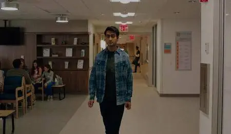 The Big Sick (2017)