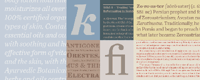 Hoefler Chronicle Text Fonts