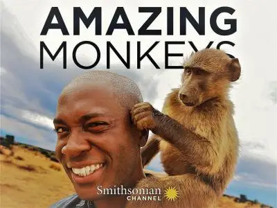 Smithsonian Ch. - Amazing Monkeys: Series 1 (2018)