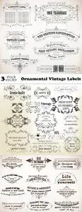 Vectors - Ornamental Vintage Labels