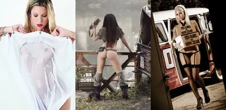 Collection: TOX Calendars 2009-2014 with German Playboy playmates