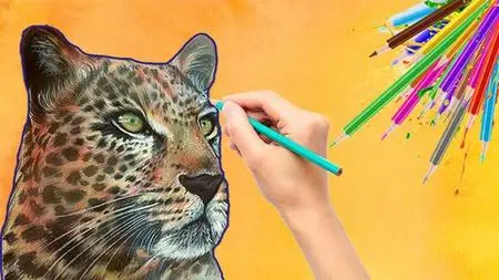 How To Draw A Leopard With Colored Pencils