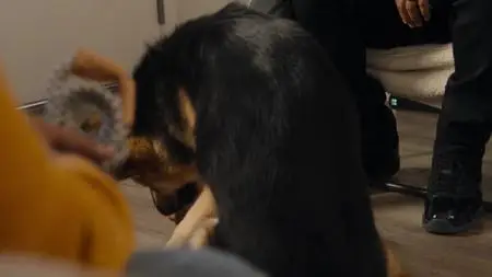 Canine Intervention S01E02