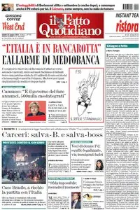 Il Fatto Quotidiano (22-06-13)