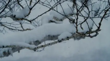 A World of Calm S01E04