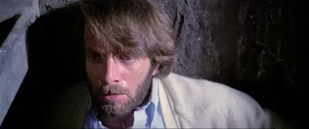 The House by the Cemetery (1981)