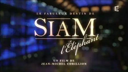 (Fr5) Le fabuleux destin de Siam l'éléphant (2016)