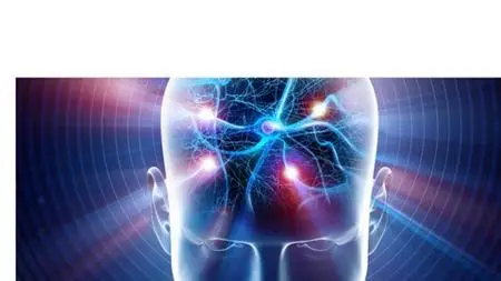 Applied Neuroscience In Sports: Training Individualization