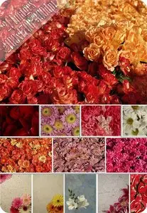 Flower substrates