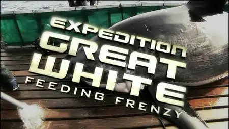 Nat Geo - Expedition Great White Chasing Giants