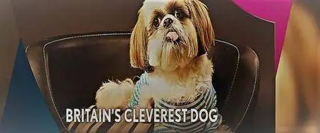 Channel 5 - Britain's Cleverest Dog (2017)