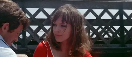 Pierrot le Fou (1965) [The Criterion Collection]